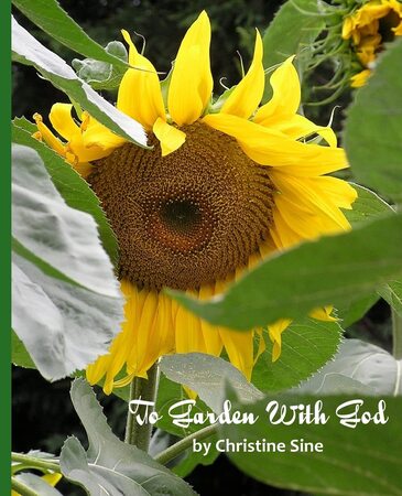 To Garden with God Christine Sine